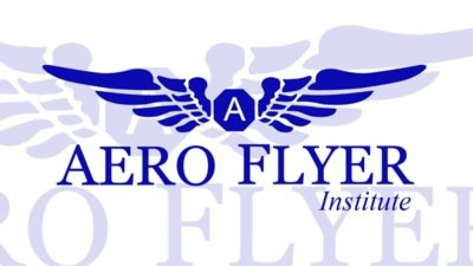 Aeroflyer Institute